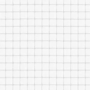 Rete anti passero trasparente con maglia 18×18 mm, invisibile, resistente e su misura per finestre, balconi e monumenti