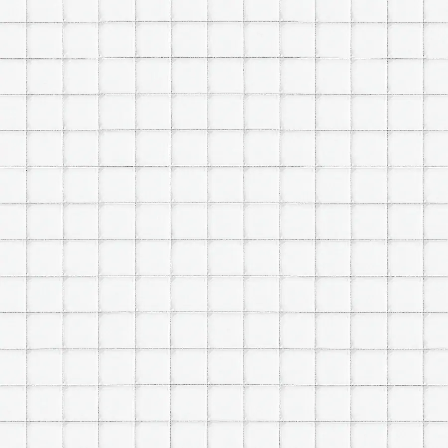 Rete anti passero trasparente con maglia 18×18 mm, invisibile, resistente e su misura per finestre, balconi e monumenti