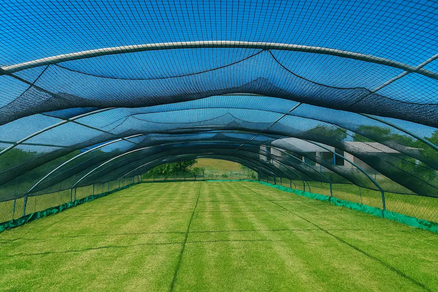 Rete voliera di protezione per uccelli, gatti, canarini e pappagalli