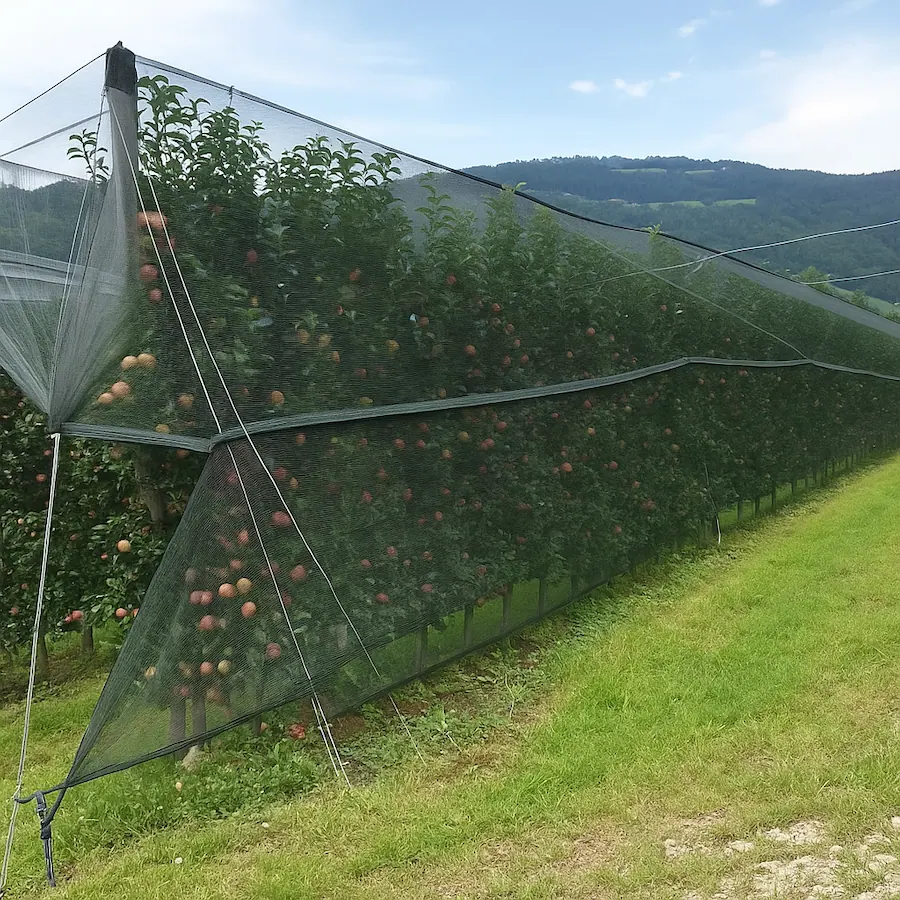 Reti antigrandine e di protezione per frutteti e colture | Mondo Reti