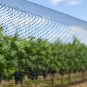 Rete antigrandine maglia fitta, per colture