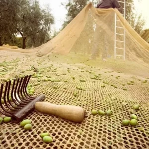 Rete raccolta olive in rotolo economica in polietilene HD